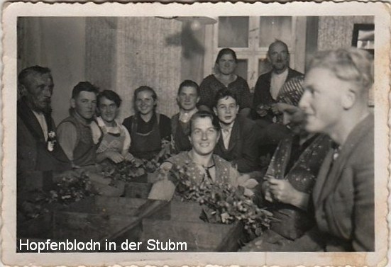 Hopfenblodn in der Stubm