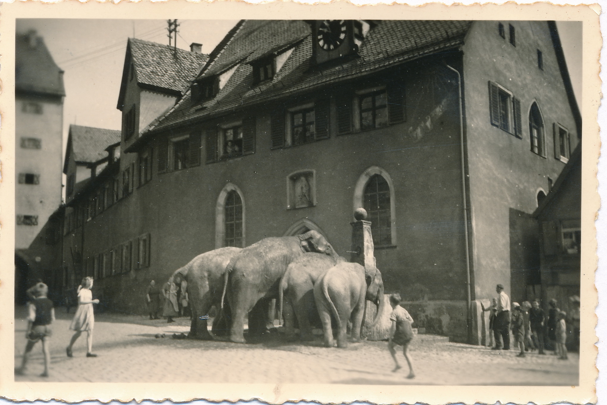 Elefanten am Spitalbrunnen um 1935