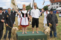 Schferlauf