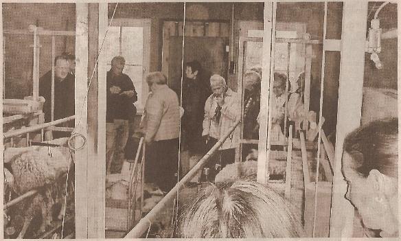 Bei Familie Ertel in Ernhll