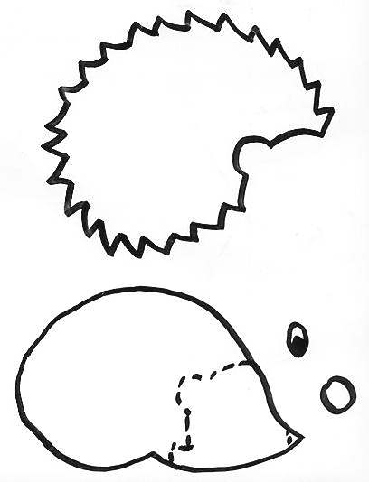Bastelvorlage Igel Zum Ausdrucken