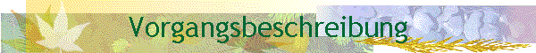 Vorgangsbeschreibung