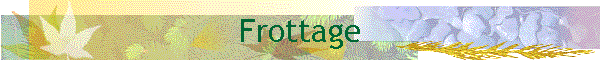 Frottage