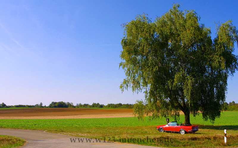 W123 Cabrio
