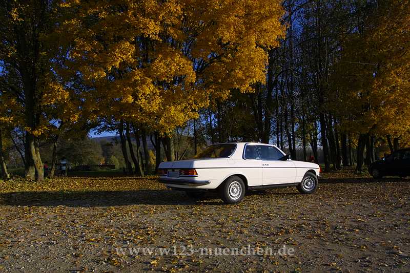 Sonntagsfahrer