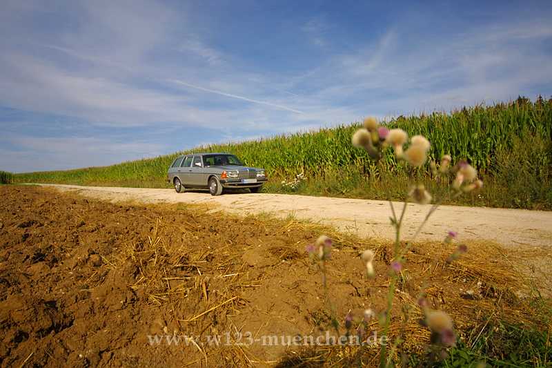 Landwirtschaftliches Ger�t?