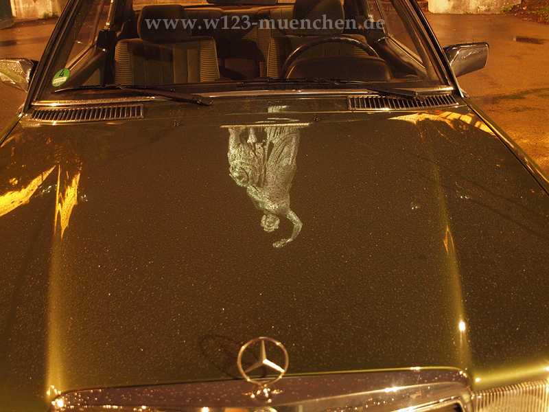 K�hlerfigur