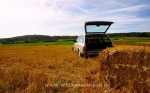 T steht diesmal eindeutig f�r Transport